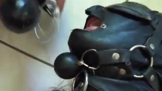 Bdsm at home 1
