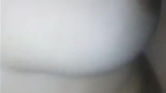 Pussy
