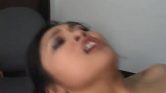 Oriental chick 423

